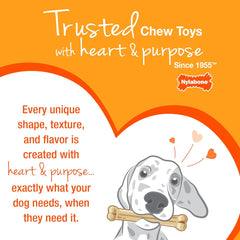 Nylabone New Puppy Starter Kit, 2 Chew Toys and 1 Natural Treat for Puppies, Bacon & Chicken Flavor