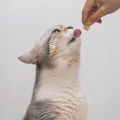 Open Farm, Kitty Cubes, Freeze Dried Raw Cat Treats, Grain-Free, High-Protein Cat Treat with Probiotics, Omega Fatty Acids & Superfoods