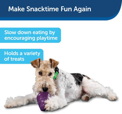 PetSafe Busy Buddy Squirrel Dude Dog Toy - Treat Dispensing Toy – Large