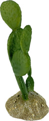 Multi Pet 48593322: Komodo Cactus Plant Prickly Pear, 6.3In