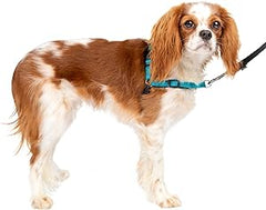 PetSafe Easy Walk Deluxe Dog Harness, No Pull Dog Harness – Perfect for Leash & Harness Training – Stops Pets from Pulling and Choking on Walks – Small