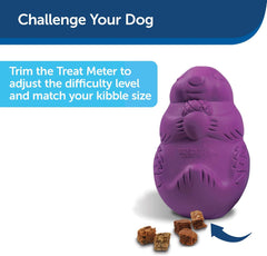 PetSafe Busy Buddy Squirrel Dude Dog Toy - Treat Dispensing Toy – Large