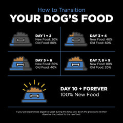 Go! Solutions Skin + Coat Care, Dry Dog Food, Chicken Recipe with Grains