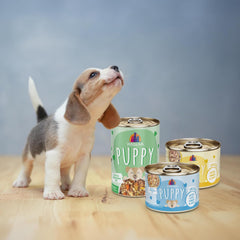 Weruva Puppy, Beef and Rice Formula in Gravy (Pack of 8)