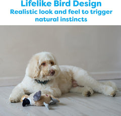 SPOT Bird Calls Plush Dog Toy with Realistic Bird Sound – 12" Sound Chip Toy for Dogs, One of Three Assorted Styles, Engaging Indoor Play for All Breeds