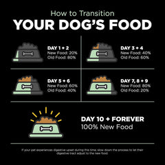 Go! Solutions Skin + Coat Care, Dry Dog Food, Turkey Recipe with Grains, 22 lb Bag