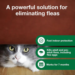 Advantage Household Fogger | Kills Fleas & Ticks | Flea Fogger for Home | 2 oz. Canisters (Pack of 3)