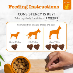 Zesty Paws Chew No Poo Bites for Dogs - Coprophagia Relief - Stool Eating Deterrent Soft Chews for Dogs - Gut, Periodontal & Immune System Support with Probiotics - Chicken - 90 Ct
