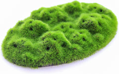 Penn-Plax Aqua-Flora Aquarium Living Resin Decoration with Embedded Glosso Plant Seeds – Moss Patch – Safe and Healthy for Freshwater Fish