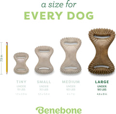 Benebone Dental Durable Dog Chew Toy for Aggressive Chewers, Real Peanut, Made in USA