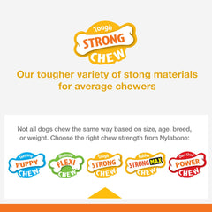 Nylabone Strong Chew Real Wood Stick Chew Toy for Dogs, Maple Bacon Flavor