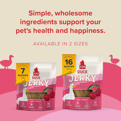 PLATO Pet Treats Jerky Dog Treats - Air-Dried Jerky for Dogs - Delicious, Real Meat Dog Treats - Grain Free - Supports Healthy Digestion - Duck Jerky with Cherry