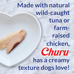 INABA Churu Meal Topper for Dogs, Complete & Balance, Creamy, Lickable Purée Dog Food Topper, 0.5 Ounce Tube, 24 Tubes (4 per Pack), Chicken with Pumkpin Recipe