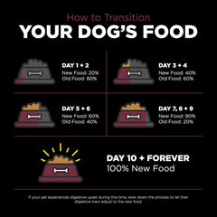 Go! Solutions Sensitivities Limited Ingredients, Grain-Free Dry Dog Food, Lamb Recipe for Sensitive Stomach