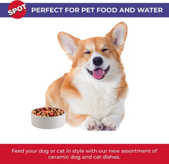 Spot® Stoneware Saucer for Cat/Reptile 5 Inch