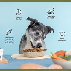 Superfood Complete, Adult Dog Food, Air-Dried, High Protein, Zero Fillers, Superfood Nutrition by Katherine Heigl (Beef Formula)