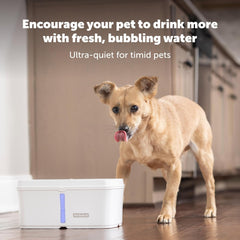 PetSafe Viva Pet Fountain for Cats and Dogs