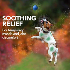 HERO PET Vet's Best Aches and Pains Supplement for Dogs – Vet Formulated Pain Relief and Joint Support for Minor Aches and Discomfort – Natural Dog Hip and Joint Aid – 50 Chewable Tablets