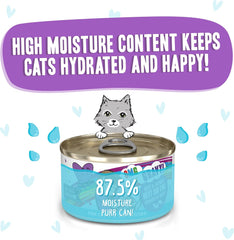 Weruva B.F.F. OMG - Best Feline Friend Oh My Gravy!, Best Day Eva! with Beef & Salmon in Gravy Cat Food