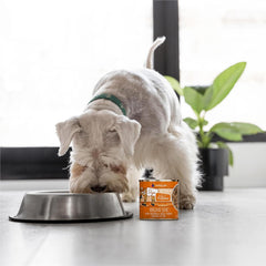 Weruva Dogs in The Kitchen, Goldie Lox with Chicken & Wild-Caught Salmon Au Jus Dog Food (Pack of 12)