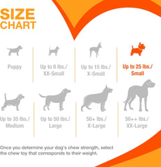 Nylabone Lobster Power Chew Toy for Dogs, Dog Toys for Aggressive Chewers, Filet Mignon Flavor, Small - Up to 25 Ibs, 1 Count