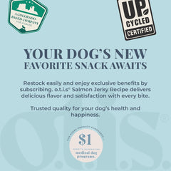 O.T.I.S. Wild Things Salmon Recipe Jerky for Dogs – 4 oz – Soft Treats with Wild-Caught Alaskan Salmon – Omega 3 DHA & EPA – GMO-Free – No Artificial Additives
