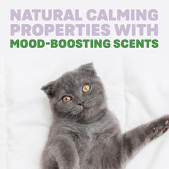 Naturally Fresh, Harmony Lavender and Bamboo Clumping Cat Litter