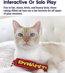Petstages Catstages Green Magic Dynamite Stick Catnip Cat Toy