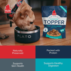 PLATO Pet Treats Dog Food Toppers - Air-Dried Dog Food Toppers for Dry Food - with Collagen to Support Skin and Coat Health - Fish and Collagen Recipe