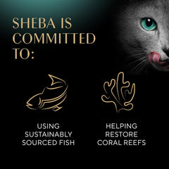 Sheba Perfect Portions Wet Cat Food Cuts in Gravy Variety Pack, Sustainable Salmon, Sustainable Tuna, and Delicate White Fish & Tuna Entree 2.6-oz(Pack of 24)