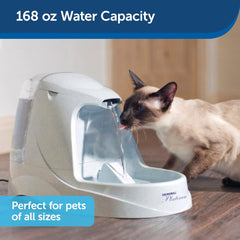 Drinkwell - PetSafe Drinkwell Platinum Dog and Cat Water Fountain, Automatic Drinking Fountain for Pets, 168 Ounce,Grey
