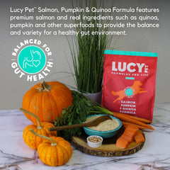 Lucy Pet Formulas for Life Salmon, Pumpkin, & Quinoa Dry Dog Food, All Life Stages, Digestive Health, Sensitive Stomach & Skin
