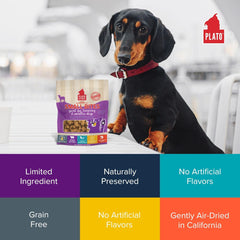 PLATO Pet Treats Small Bites - Air-Dried Training Treats for Dogs - Supports Healthy Digestion - Limited Ingredients - Lamb