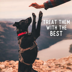 Beg & Barker Pork Chips for Dogs - Single Ingredient Dog Treats Made for Large & Small Dogs Protein Human Grade Dog Treats Made from Real Meat Beef, Made in USA