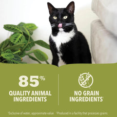 ACANA PREMIUM PATE Wet Cat Food, Tuna & Chicken Recipe in Beef Bone Broth