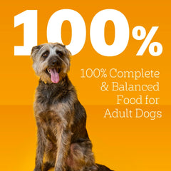 Pedigree Wet Food Pedigree Chopped Ground Dinner With Beef Adult Canned Wet Dog Food 13.2 oz, 1 ea