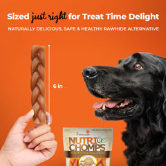 NutriChomps Dog Chews, 6-inch Braids, Easy to Digest, Rawhide-Free Dog Treats, Healthy, 4 Count, Real Peanut Butter Flavor
