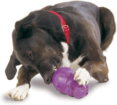 PetSafe Busy Buddy Squirrel Dude Dog Toy - Treat Dispensing Toy – Large