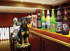 – Heinie Sniff'n Beer Bottle - Dog Toy - 100% Vinyl. Made Durable & Strong. Novelty Play Toy. 14 Bottles to Choose from and it Floats