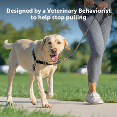 PetSafe Easy Walk No-Pull Dog Harness - The Ultimate Harness to Help Stop Pulling - Take Control & Teach Better Leash Manners - Helps Prevent Pets Pulling on Walks, Medium