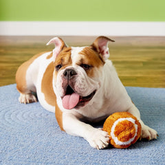 SPOT Plush Football Dog Toy