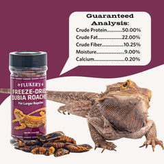 Fluker's Freeze Dried Dubia Roaches, Ideal for Lizards, Reptiles, Birds, Fish, Hedgehogs, 1.7 oz
