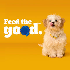 Pedigree Puppy Dry Puppy Food, Chicken, Rice, and Vegetable Flavor