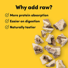 Animals Like Us - Premium Dog Treats, Freeze-Dried Raw 100% Grass-Fed Lamb Tripe, Single Ingredient, Protein Rich, Non-GMO, No Wheat or Corn, 2 oz