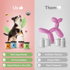kin+kind Natural Cranberry Supplement Powder for Dogs&Cats - Boost Healthy Immunity and Bladder Support with Organic Formula - Organic Cranberry, Blueberry and Coconut