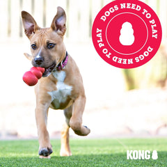 KONG - Extreme Ball - Durable Rubber Dog Toy for Power Chewers, Black