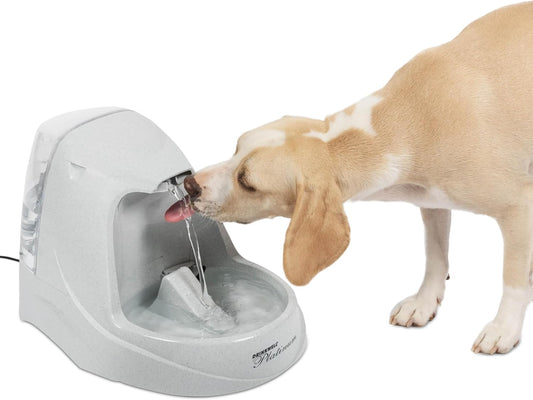 Drinkwell - PetSafe Drinkwell Platinum Dog and Cat Water Fountain, Automatic Drinking Fountain for Pets, 168 Ounce,Grey