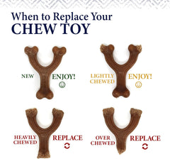 Nylabone Gourmet Style Femur Bone Strong Chew Toy for Dogs, Baby Back Rib Flavor, Large - Up to 50 lb., 1 Count