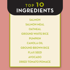 AvoDerm Advanced Sensitive Support Wholesome Grains Salmon & Oatmeal Formula