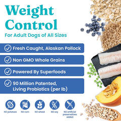 Solid Gold Healthy Weight Management Dry Dog Food for Adult & Senior Dogs - With Pollock, Whole Grain & Probiotics for Gut Health & Digestion Support - Dry Dog Food for Weight Management Support 24-lb